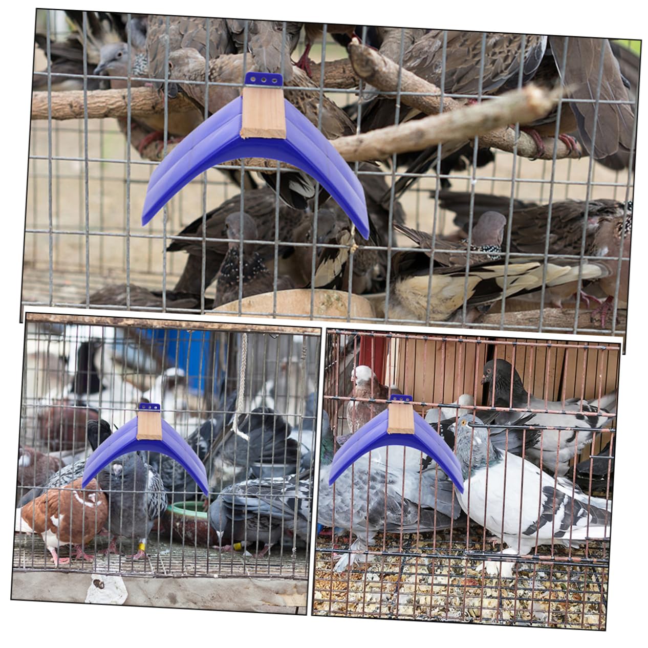 UPKOCH Lot de 10 Perchoirs à Pigeons en Bois et PP Bleu, Polis et Sûrs pour Oiseaux, Support D'activité pour Perroquets et Oiseaux, pour Cage et Entraînement