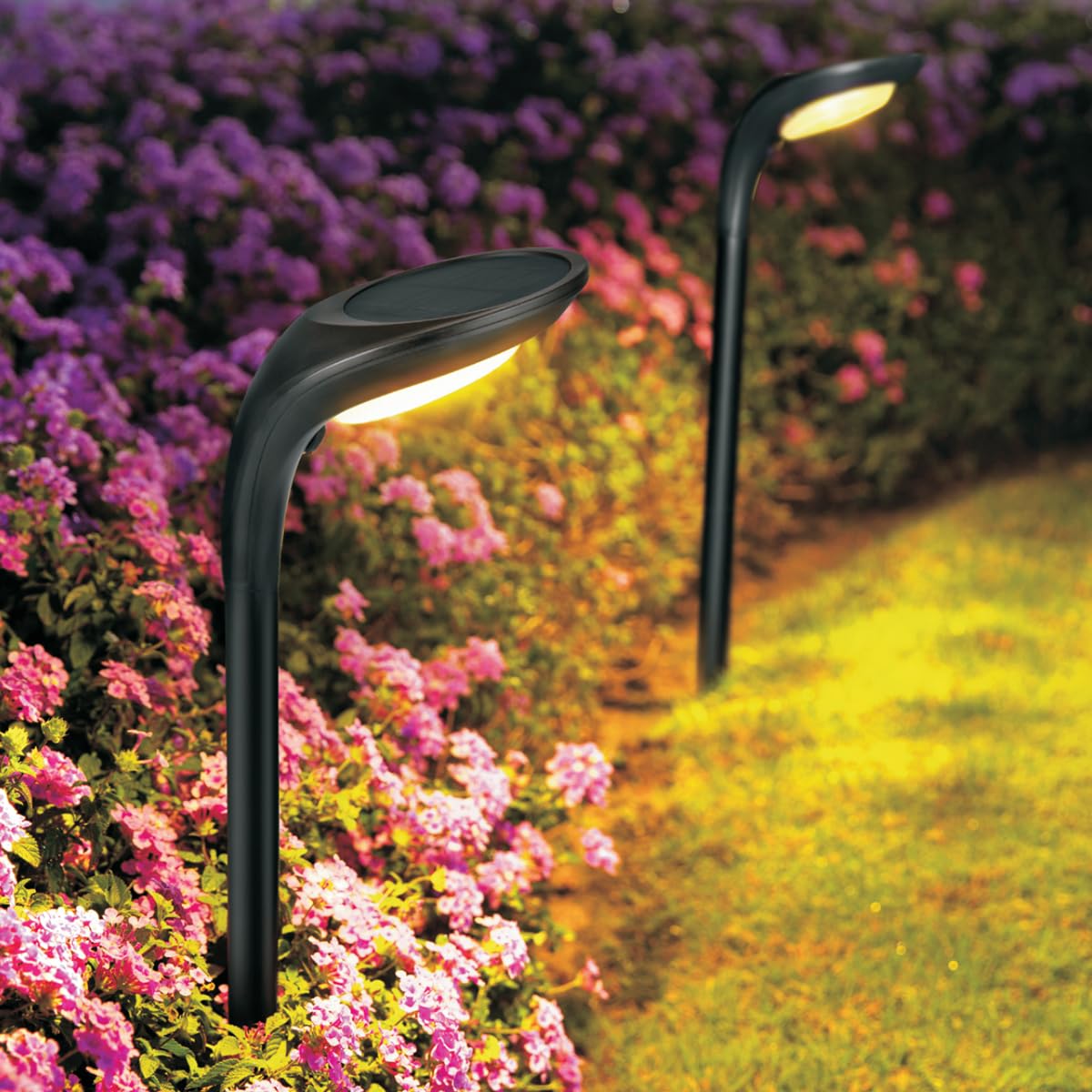 Solar Outdoor Pathway Lights 2 Pack Waterproof IP65 Stylish Snake Head Shape Design Warm Cool Light Dual Modes