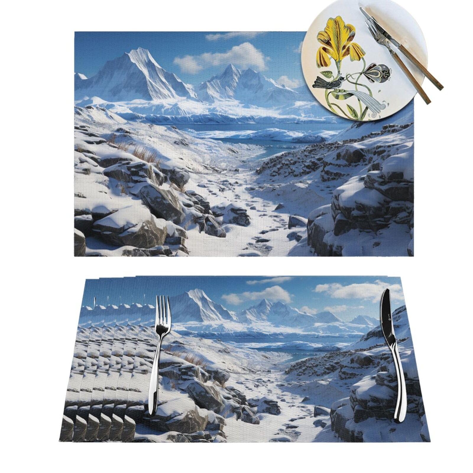 Sets de table thermorésistants et lavables en PVC tissé pour cuisine