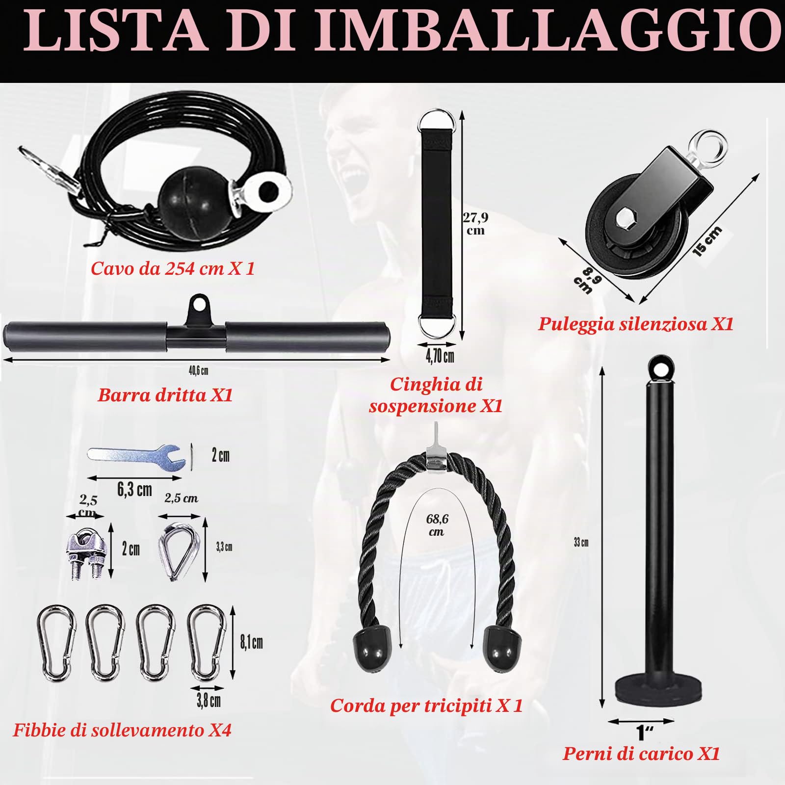 Taeku Carrucola Palestra, Multifunzione LAT Machine Palestra Dischi Palestra Accessori per Curl Bicipiti Estensioni Tricipiti Fitness Palestra