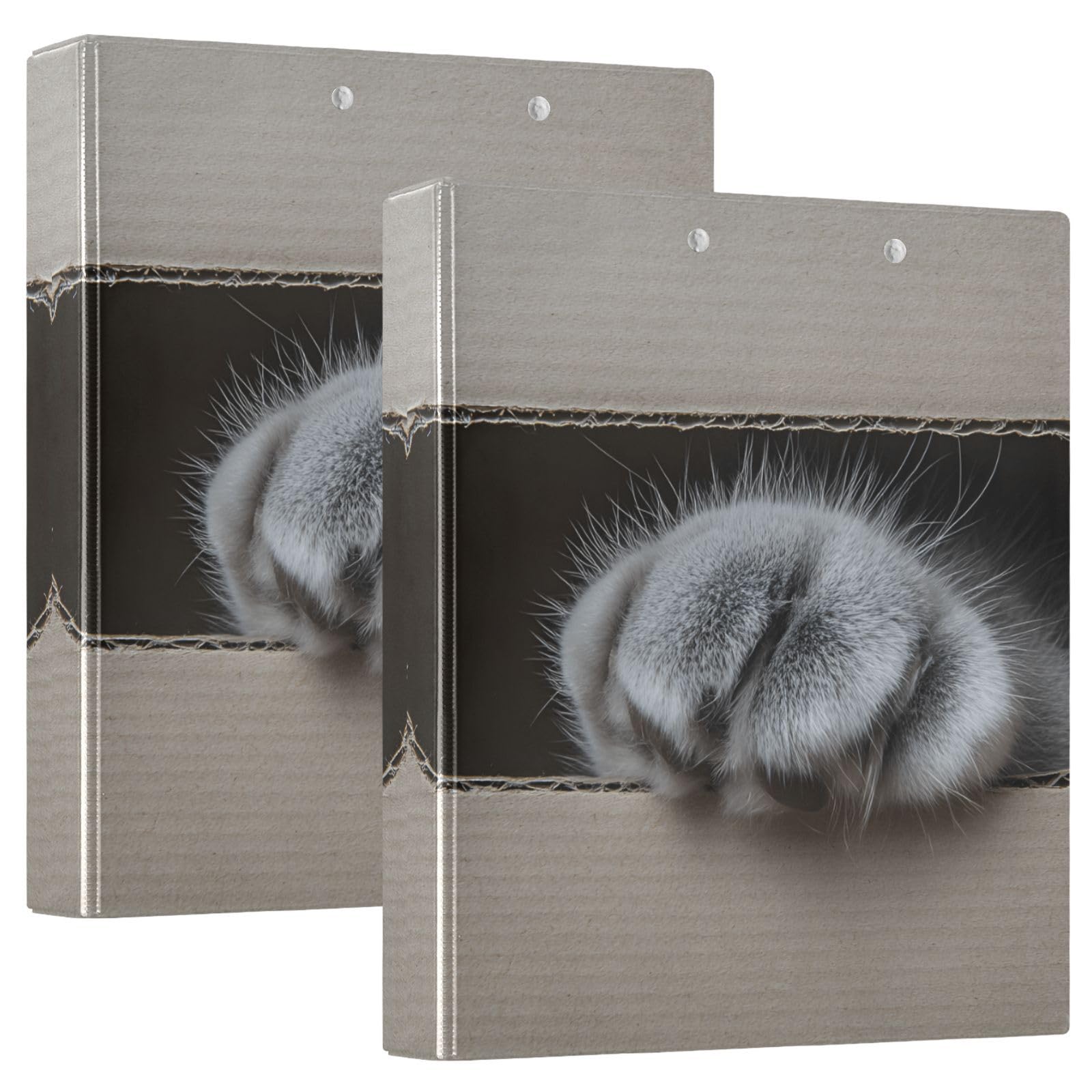 Confezione da 2 raccoglitori a 3 anelli, con zampa di gatto all'interno della scatola, 3,8 cm, con 3 tasche trasparenti, portablocco e contiene 200 fogli, per ufficio, scuola, organizzazione
