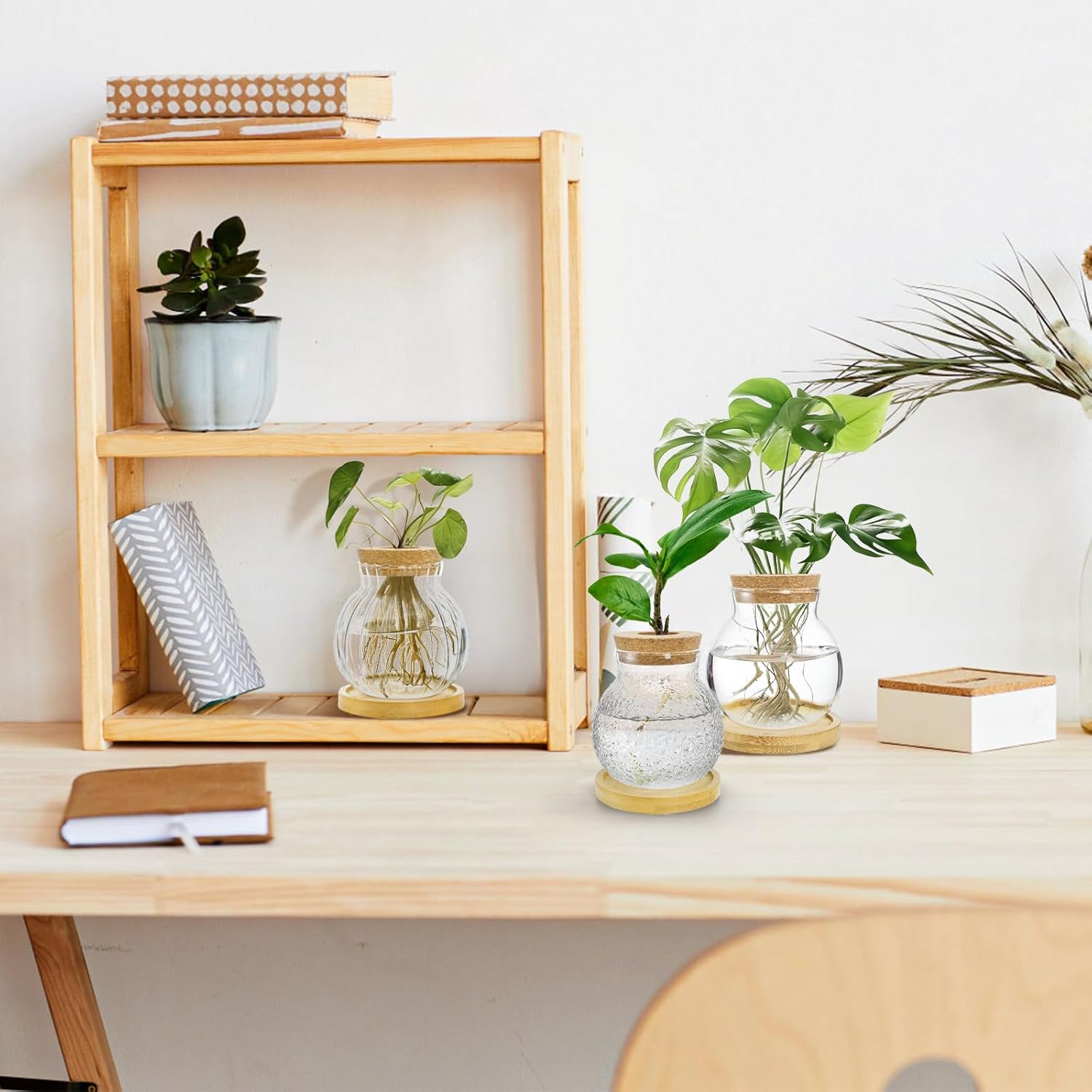 3 Pack Plant Propagation Station, Tabletop Plant Terrarium with Bamboo Tray, Glass Hydroponics Plants Jars, Bulb Flower Vase for Hydroponics, Home, Office, Garden Decoration, Plant Lover - Image 8