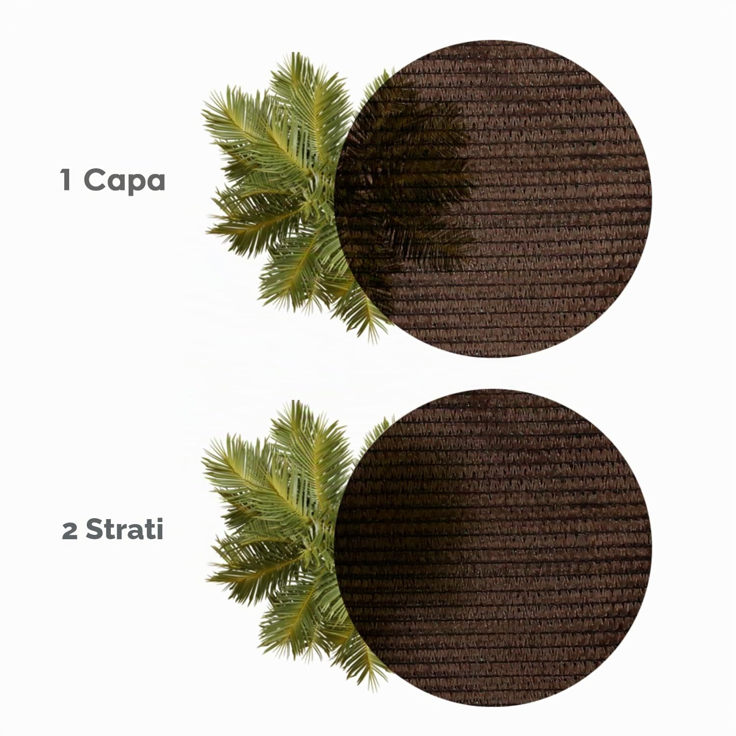 Rete Ombra Rotolo 1 x 50 Metri, Riduce le Radiazioni, Protezione Giardino e Terrazza, Regola Temperatura, Colore Marrone