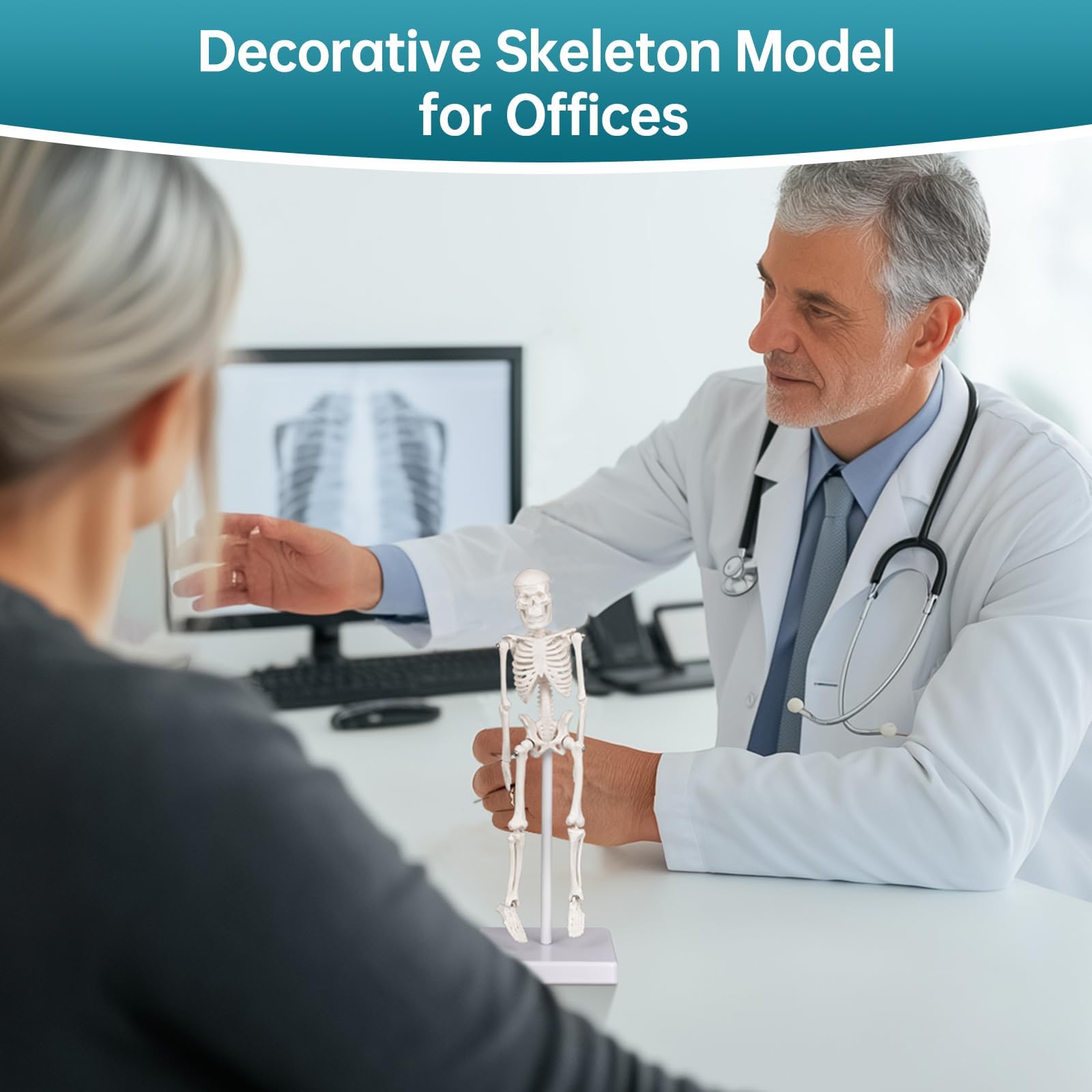 Skeleton Model, Human Anatomy Model for Small Skeleton Model with Movable Joints Ideal for Classroom Office Decor and Decorations(7.8in) - Image 5 thumbnail
