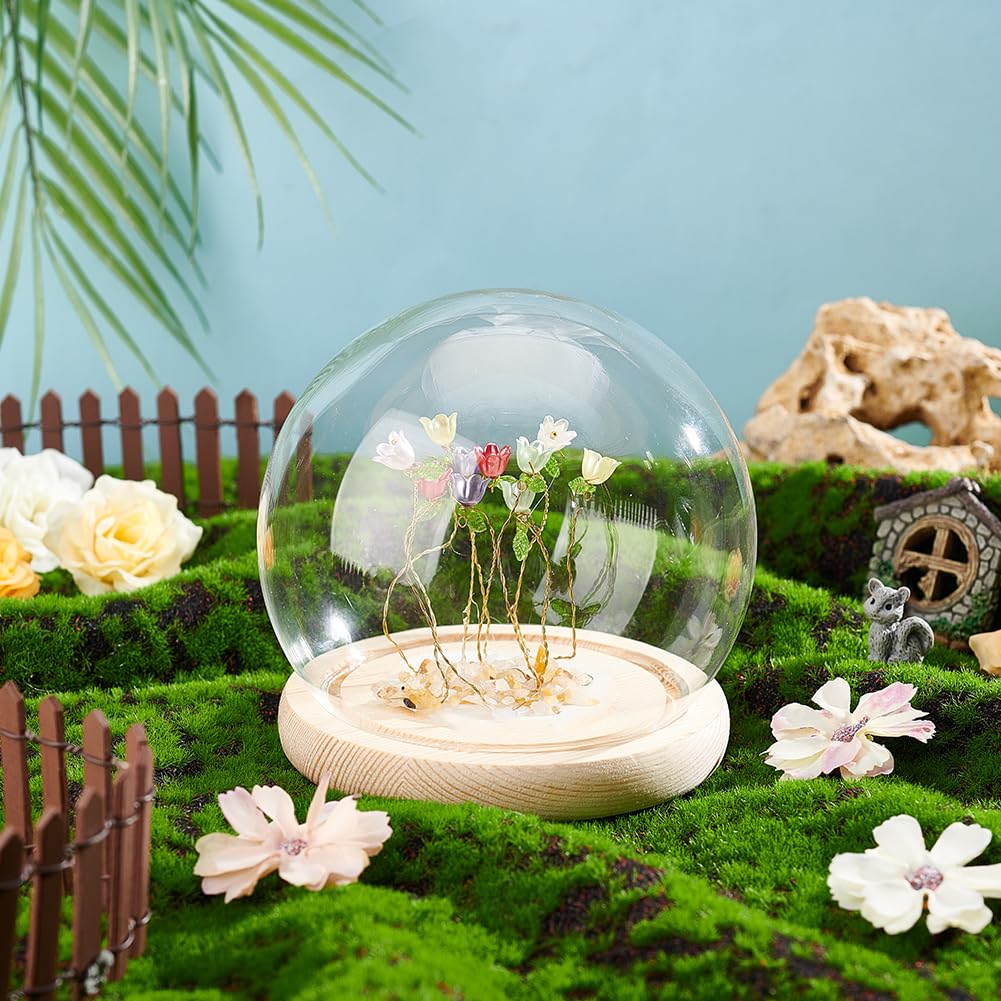 Cloche Verre 40 Cm PH PandaHall Cloche Dôme En Verre, Cloche De Dôme D' Affichage En Verre Transparent, Couvercle De Dôme De Pot De Cloche Avec Poignée Supérieure Pour L'Affichage De Noël En