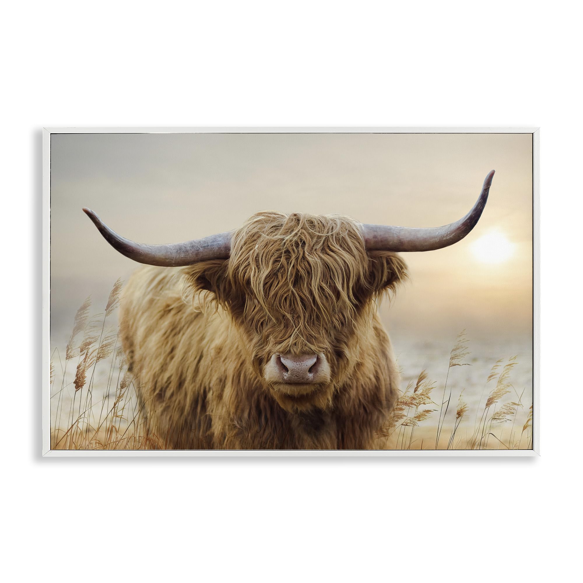 Stupell Industries Coastal White (Textured) Highland Cow Warm Sunset Landscape, 16 X 24 Inch Framed Giclée Print