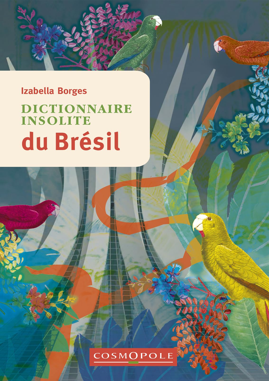 Dictionnaire insolite du Brésil
