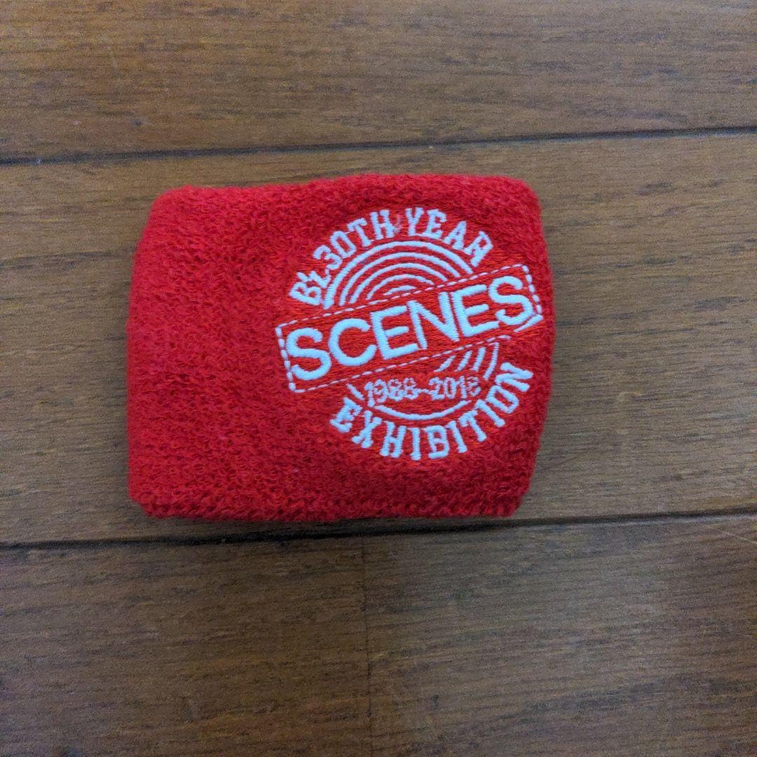 Amazon.co.jp: b'z 30th year exhibition scenesグッズ5 点