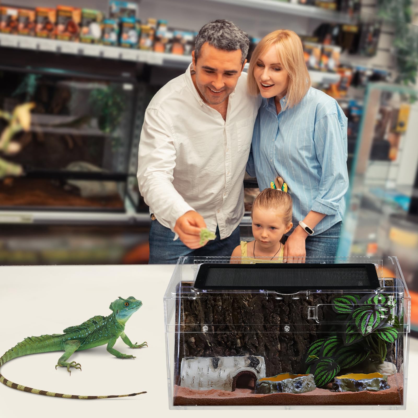 Terrariums pour Reptiles, 30x 18 x 15cm Boîte d'élevage en Acrylique Grande Taille, Habitat Portable pour Reptiles et Amphibiens pour Petits Reptiles Insectes Geckos grillons