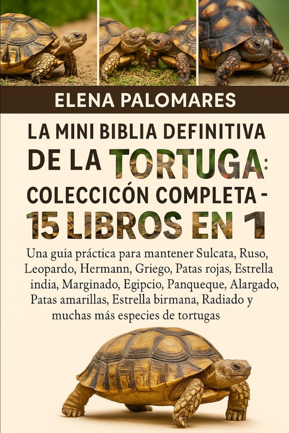 LA MINI BIBLIA DEFINITIVA DE LA TORTUGA: COLECCIÓN COMPLETA - 15 LIBROS EN 1: Una guía práctica para mantener Sulcata, Ruso, Leopardo, Hermann, ... Panqueque, Alargado, Patas amarillas...