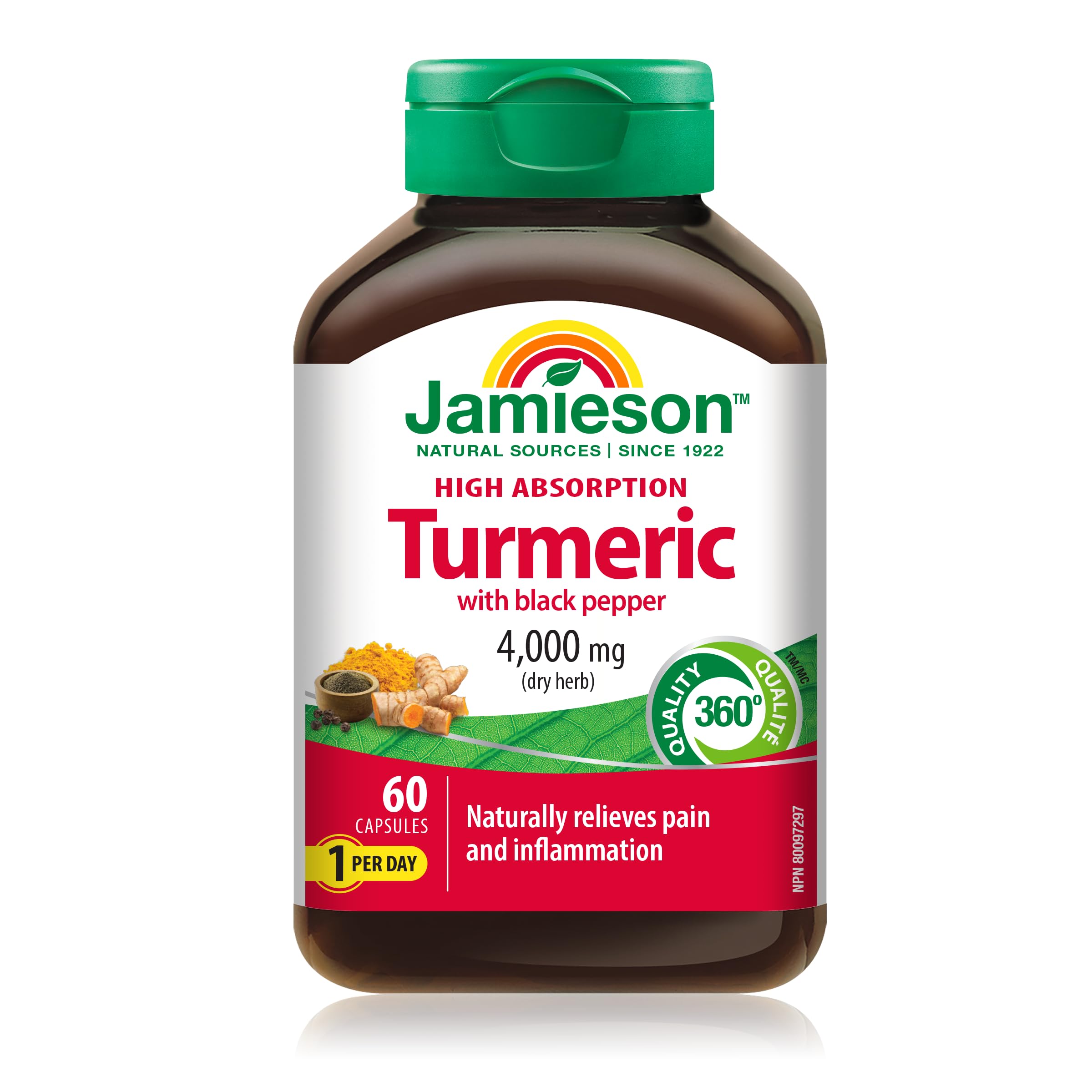 Jamieson High Absorption Curcumin Turmeric