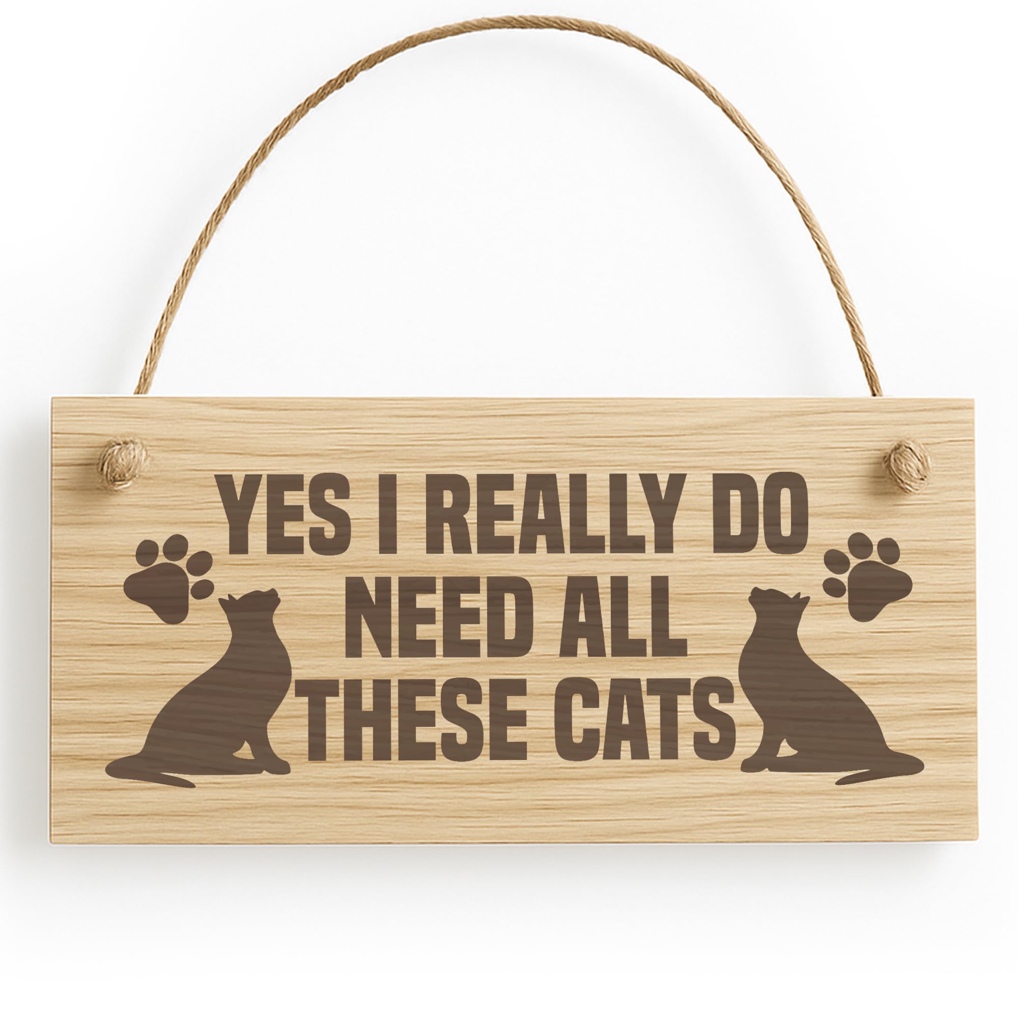 Red Ocean Funny Cat Signs, Engraved Wooden 20x10cm Hanging Cat Plaque, For Animal Lovers, Birthday For Lover, Lady, Funny Animal Signs, Home Decor Plaques