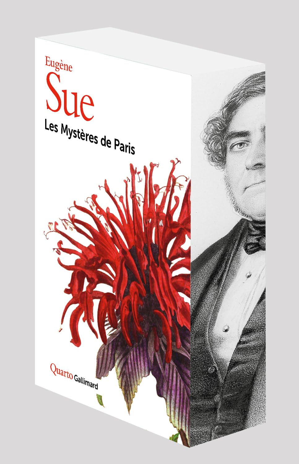 Les Mystères de Paris: Sous étui