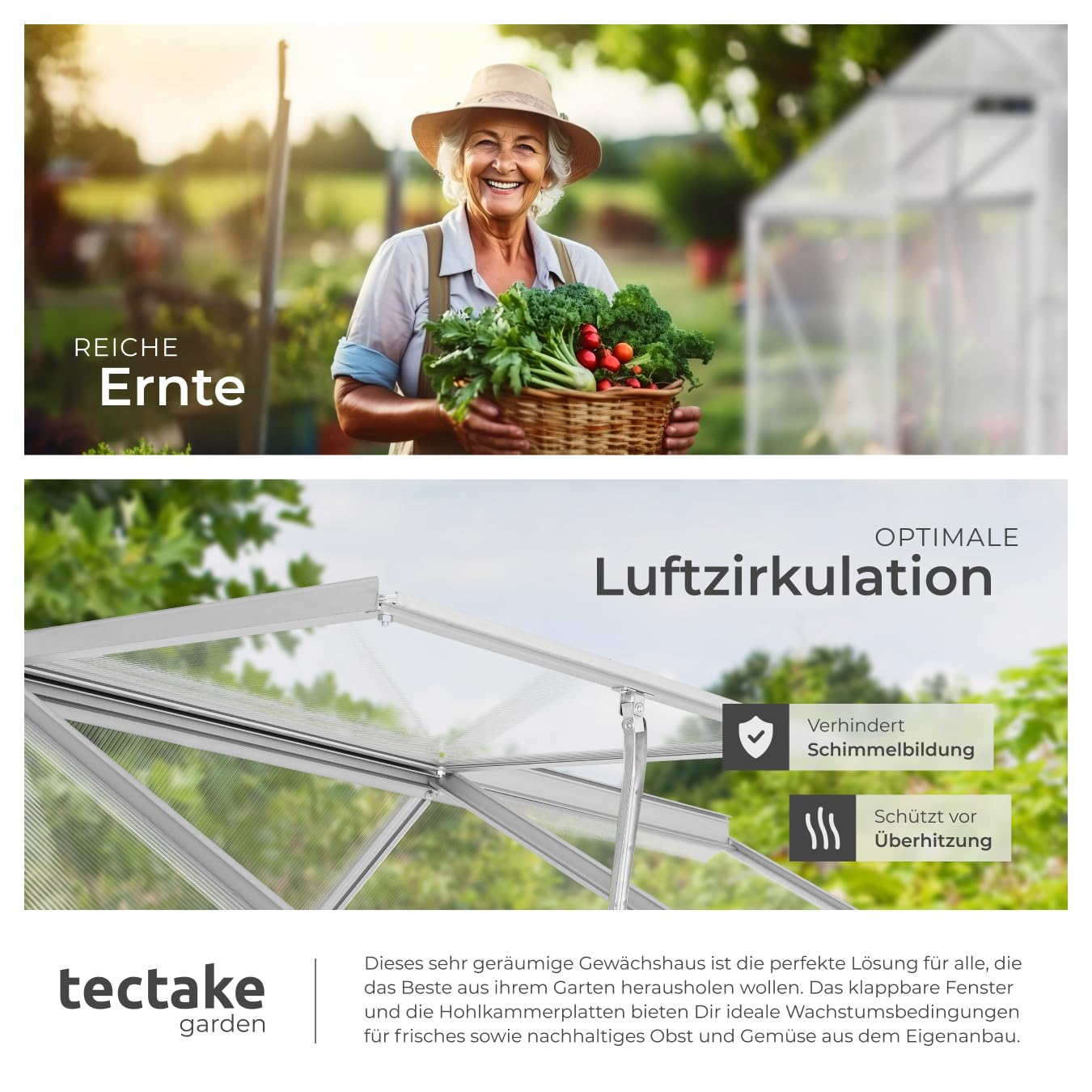 tectake® Aluminium Gewächshaus, 190x185x195 cm, Treibhaus, Tomatenhaus, Frühbeet, Pflanzenhaus, UV beständig, 4 mm Platte, Schiebetür & Dachfenster, Schutz vor Kälte, Regen und Frost - ohne Fundament