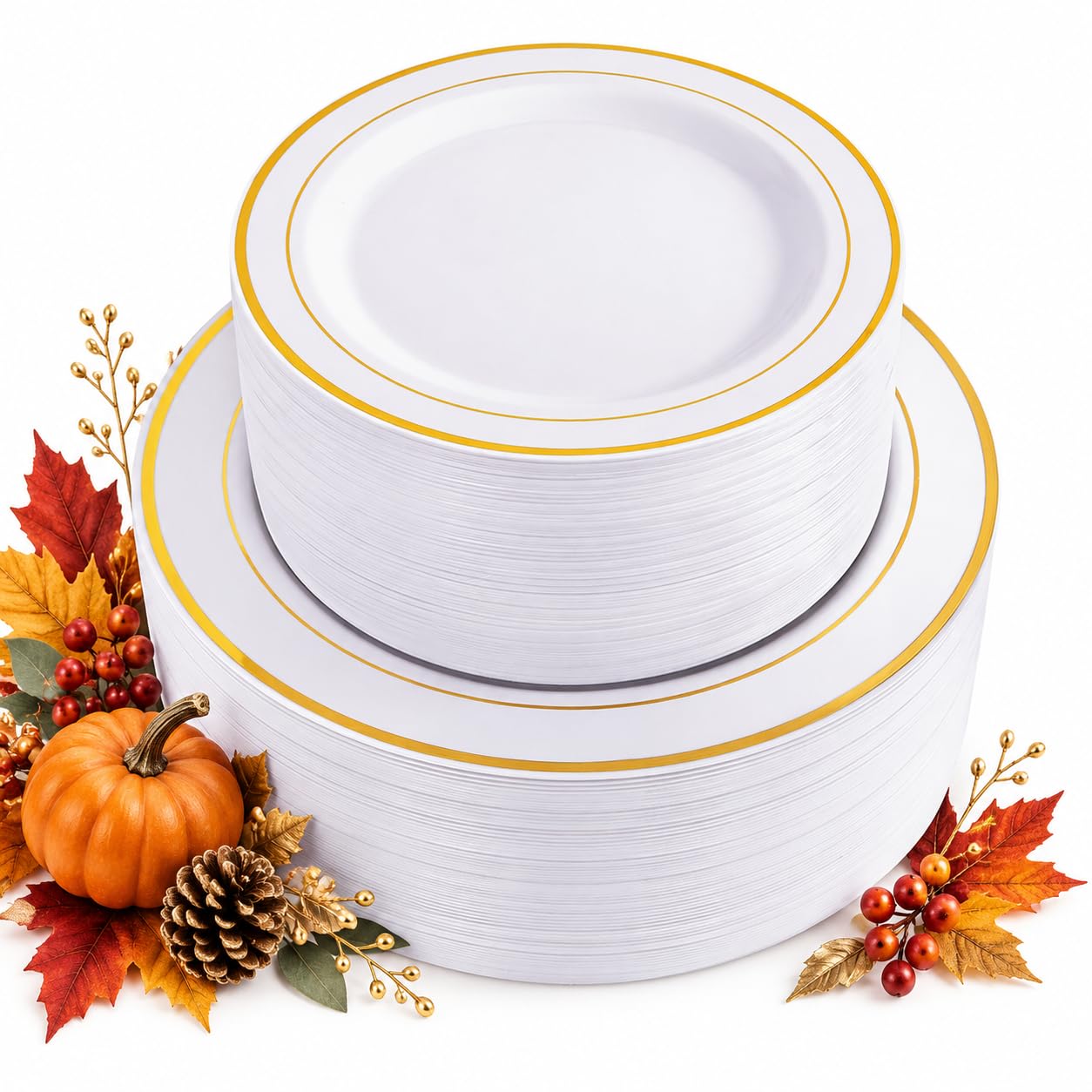 Disposable Plates - Dinner & Dessert Set -14