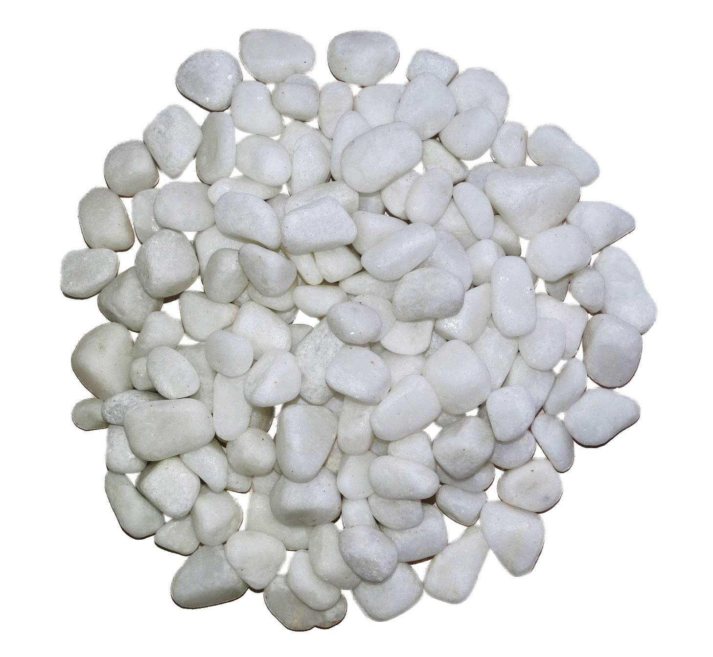 Maalavya Snow White Pebbles Garden, Landscape and Decorative Natural unpolished Stone (Small (30 to 60 MM), 5 Kg) (B07T98YDLD) Amazon Price History, Amazon Price Tracker