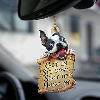 2021 New Cute Dog Two Sided Hanging Ornament with A Treasure Map,Puppy Two Sided Ornament,Get in Sit Down Shut Up Ornament Boston Terrier Lover Gifts for Animal Lover Car Mirror. (D)