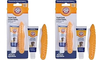 Arm & Hammer for Pets Clinical Care Travel Dental Kit for Dogs in Vanilla Ginger Flavor | Dog Toothbrush and Toothpaste Set Safe for All Dogs | All in One Solution to Dog Teeth Cleaning (Pack of 2)