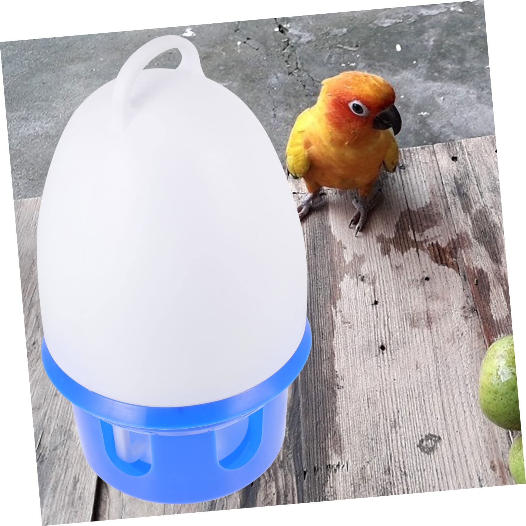 Beverino Automatico per Piccioni in PVC Rimovibile Blu Rotondo | Beverino Automatico per Uccelli, Colomba Domestica e Parrocchetti, 1 Pezzo, per Decorazione della Casa