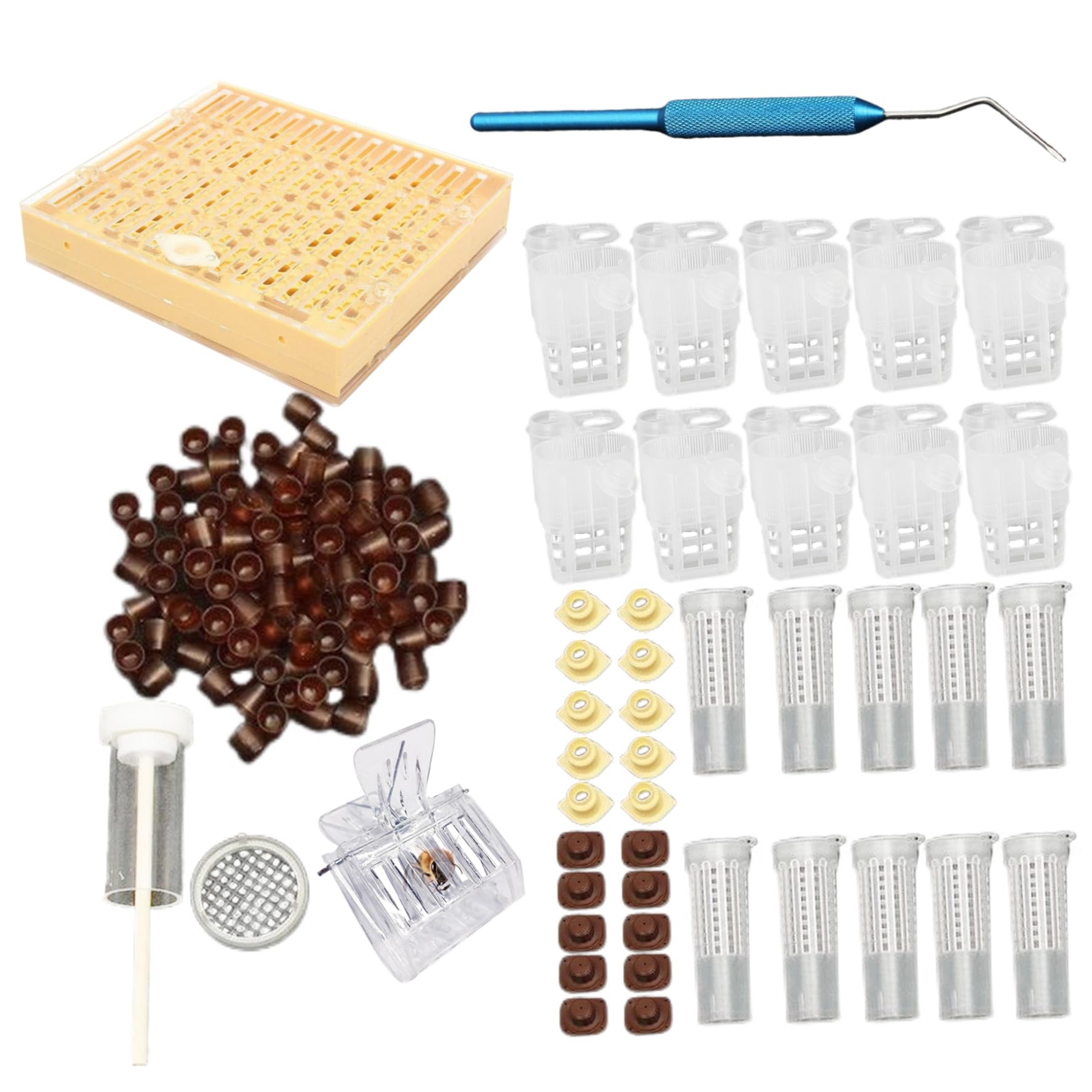 Kit d'élevage de reine, kit de démarrage apiculture complet, y compris la boîte d'élevage de reine, les tasses cellulaires, les outils de greffage émouvants de l'apiculture queen exclusion, kit d'api