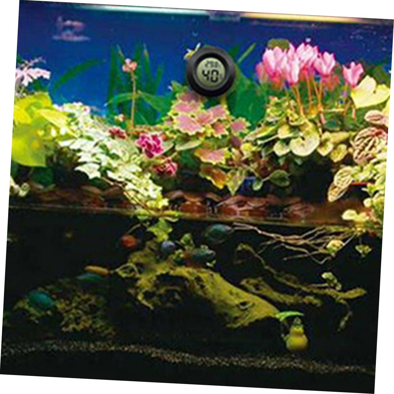 UPKOCH 2 Series Termómetro Digital Medidor De Humedad Redondo Reptil -higrómetro Terrario Medidor De Temperatura Del Acuario Medidor De Temperatura Y Humedad El Plastico Negro 7 Piezas*2