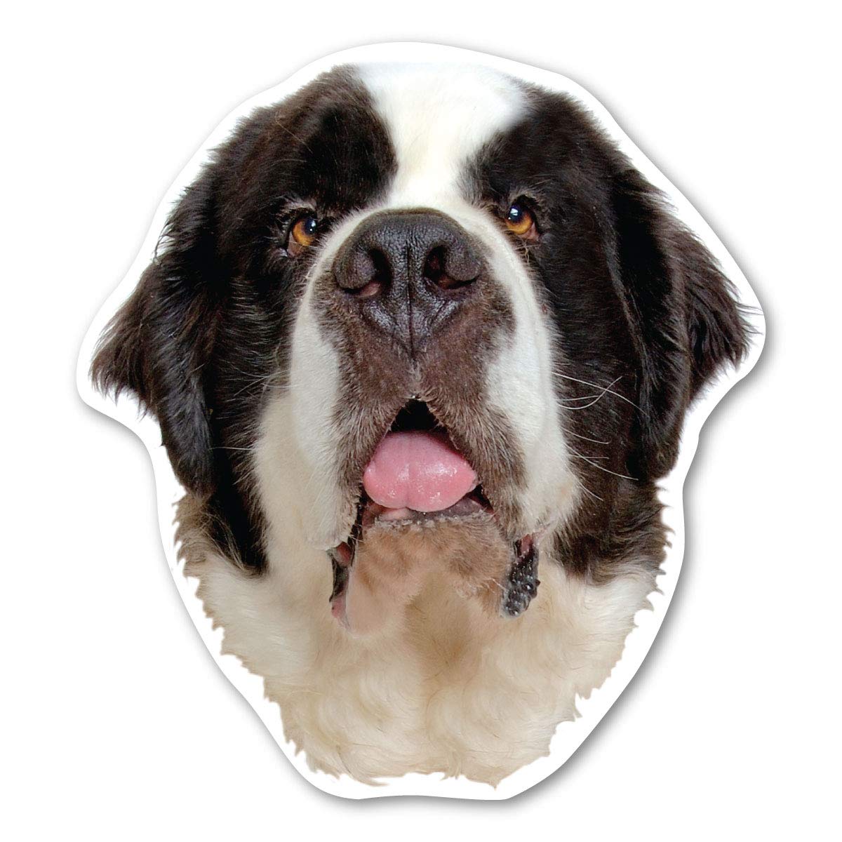 Cockapoo Magnet American Made Pet Magnet Magnet America Black Cockapoo Dog Magnet - 4 ...