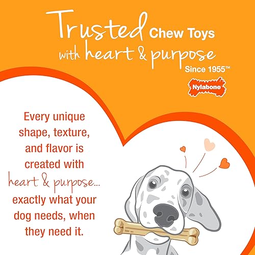 Miniatura 14 de Nylabone Power Chew Classic Bone Chew Toy for Dogs, Durable Dog Toys for Aggressive Chewers, Bacon Flavor, MediumWolf - Up to 35 lbs. (1 Count)