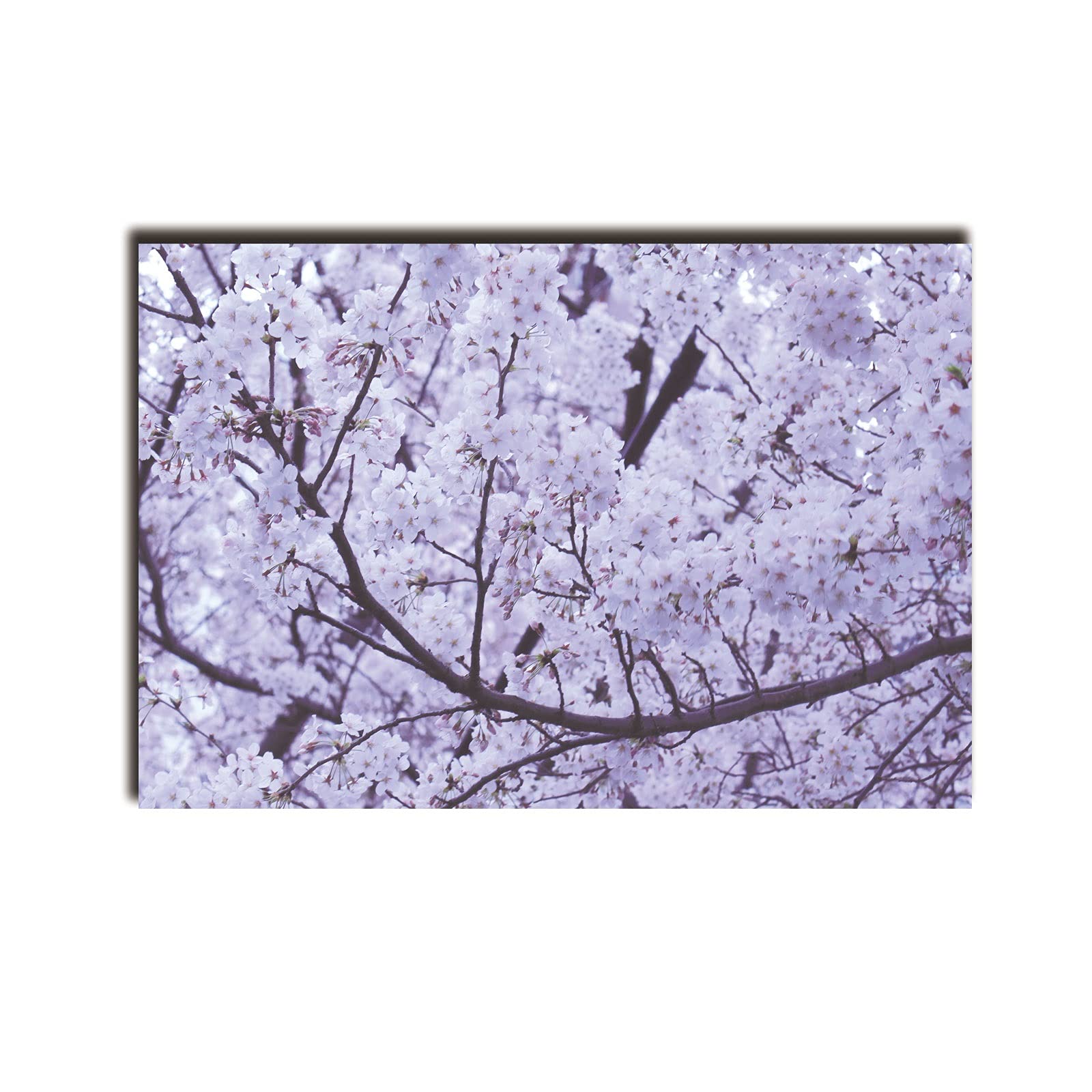 Toile à l'huile cerisier blossoms tableau abstrait haut de gamme encadré