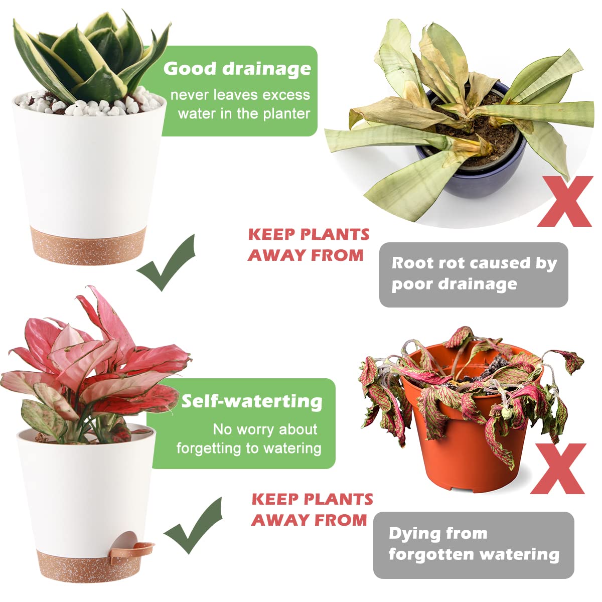 Macetas De Plástico Para Riego Automático Macetas De Mecha Para Plantas De Interior, Violeta Africano, Planta De Araña Del Océano, Orquídea - Blanco M Soledad Maceta De Interior | En Línea