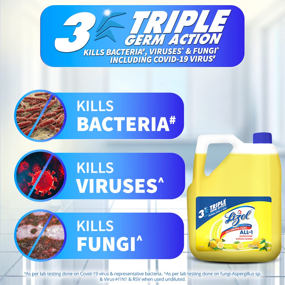 Lizol Disinfectant Surface & Floor Cleaner Liquid, Citrus 5 L Kills