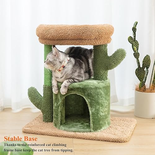 Miniatura 4 de Kilodor Árbol para gatos de interior torre de cactus de 245 pulgadas con gran percha superior acolchada casa de condominio para gatitos poste