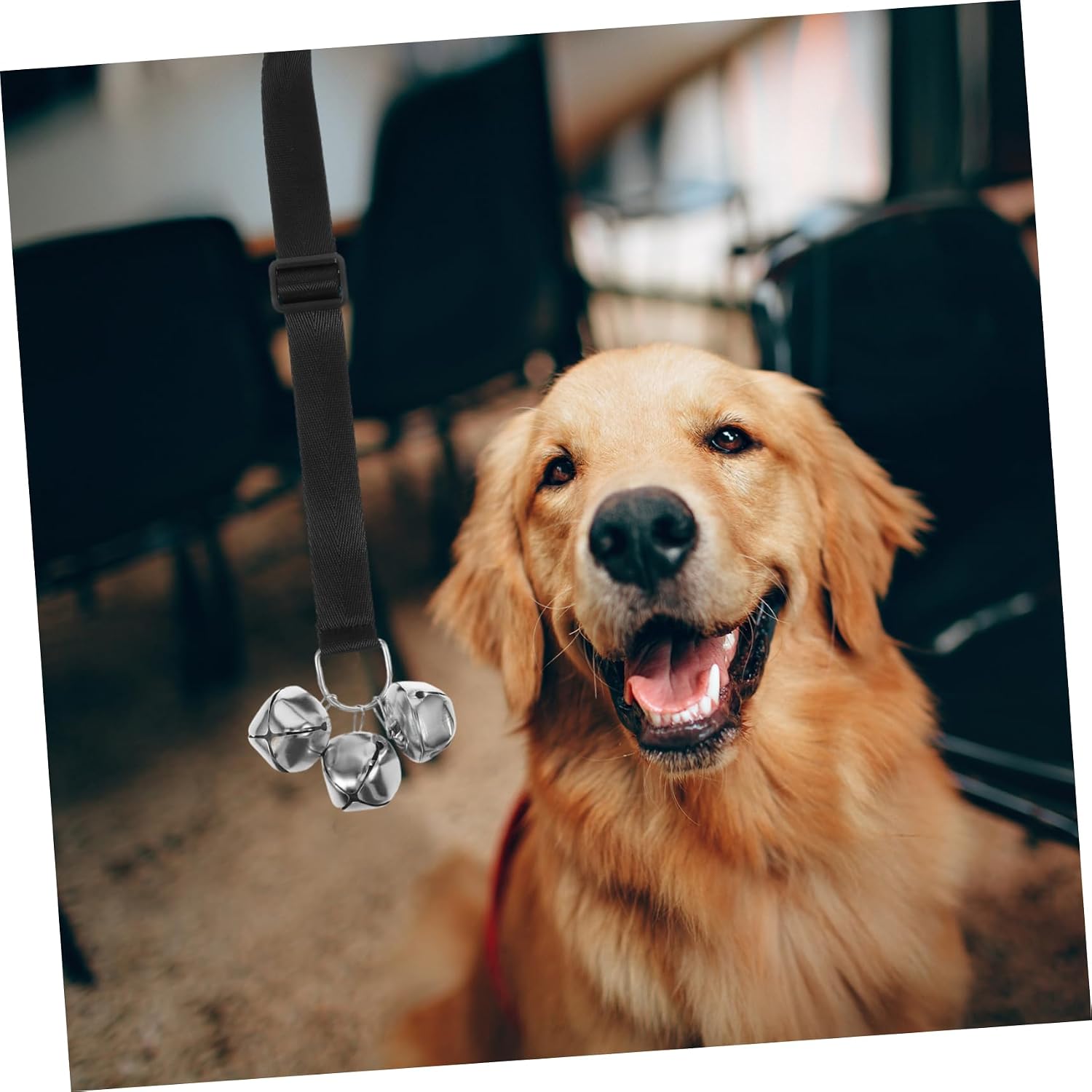 2pcs Dog Doorbell for Potty Training Portable Pet Training Bell Loud Bells