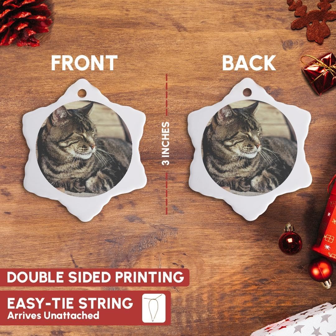 Amazon.com: 3dRose Utah, Capitol Reef Np Sleeping Tabby Cat-US45  RER0114-Ric Ergenbright Ceramic Mug, 15 oz, White : Home & Kitchen 3drose  Danita Delimont – Cats – ユタ州、議会議事堂Reef NP。Sleeping Tabby Ca 3drose Danita Delimont – Cats – ユタ州、議会議事堂Reef NP。Sleeping Tabby Ca