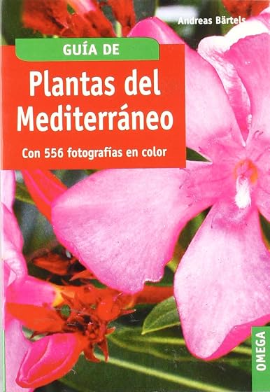 Plantas del Mediterraneo