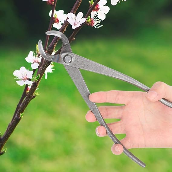Bonsai Concave Branch Cutter, Multifunction Carbon Steel Garden Branch Cutter Handle Scissor Bonsai Pruning Shear Tool for Garden