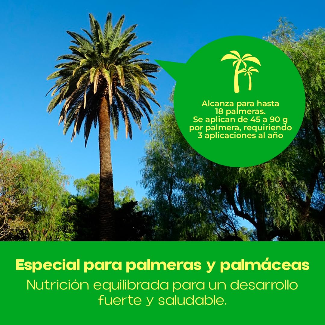 Abono para Palmeras Profesional 1Kg | Fertilizante para Plantas de Efecto Inmediato Revitalizante y Reverdeciente | Ideal para Exterior e Interior, Soluble en Agua de Riego (Hasta 500L) | Nexum Market