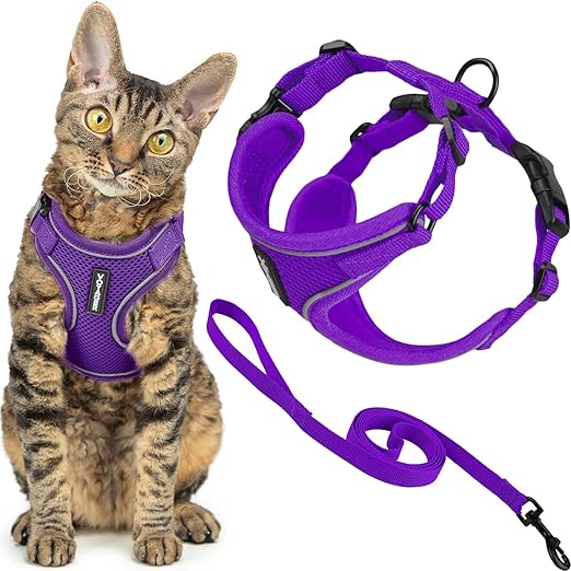 Voyager Escape Proof Cat Harness and Leash Set with Reflective Stitching, Neoprene Handle 5ft - Supports Small, Medium and Large Cats, Kittens for Walking by Best Pet Supplies - Purple, XXXS