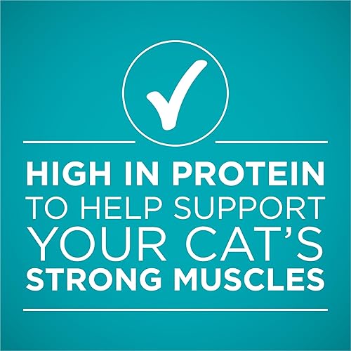 Miniatura 8 de Purina ONE Paquete variado de alimentos húmedos naturales y ricos en proteínas, recetas de pollo, atún, salmón y trucha True Instinct (paquete de