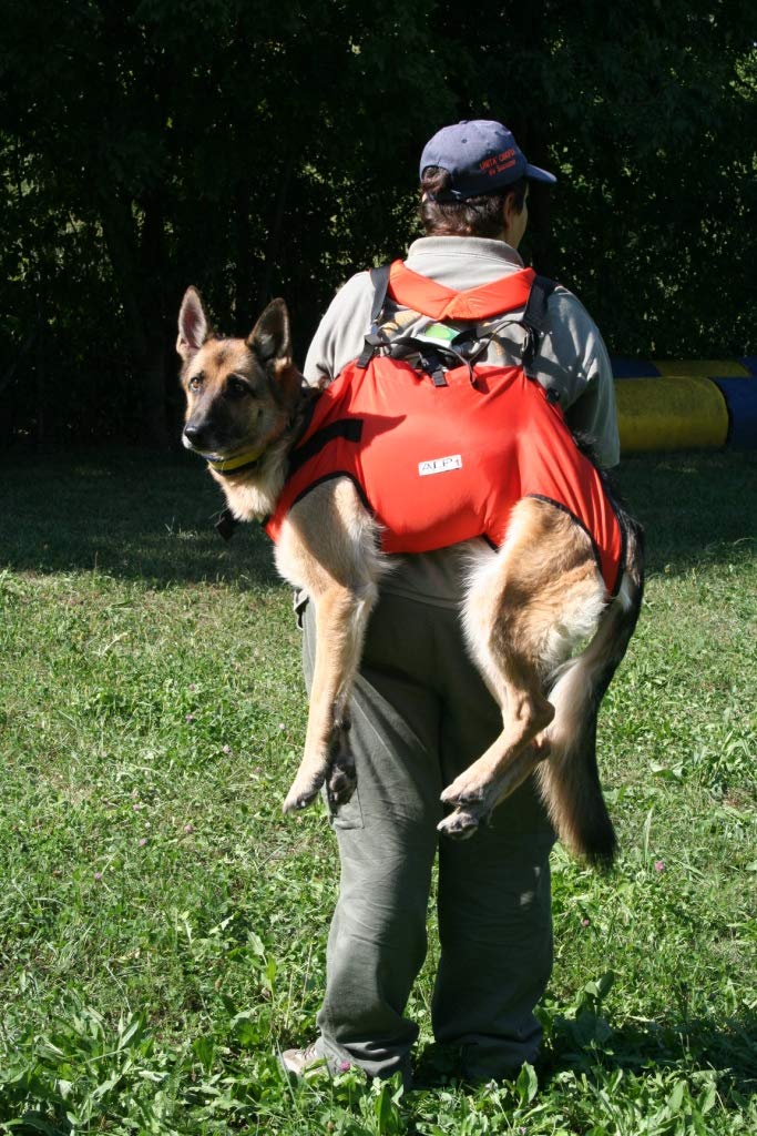 Alp Design. Taxi. Imbracatura di Emergenza per Cani. Materiali Resistenti e Leggeri. Design Ergonomico, Trasporto Confortevole. Borsetta Inclusa. Made in Italy. M
