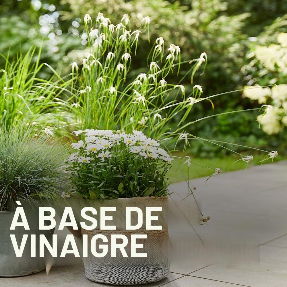 COMPO Vinaigre bio 3 l pour 500 m² éliminer mauvaises herbes