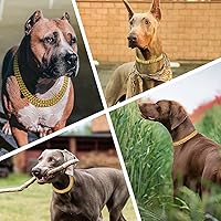 Vista 7 de Collar de cadena de oro para perro, acero inoxidable, oro de 18 quilates, ajustable, eslabones cubanos de metal a prueba de mordidas, cadena