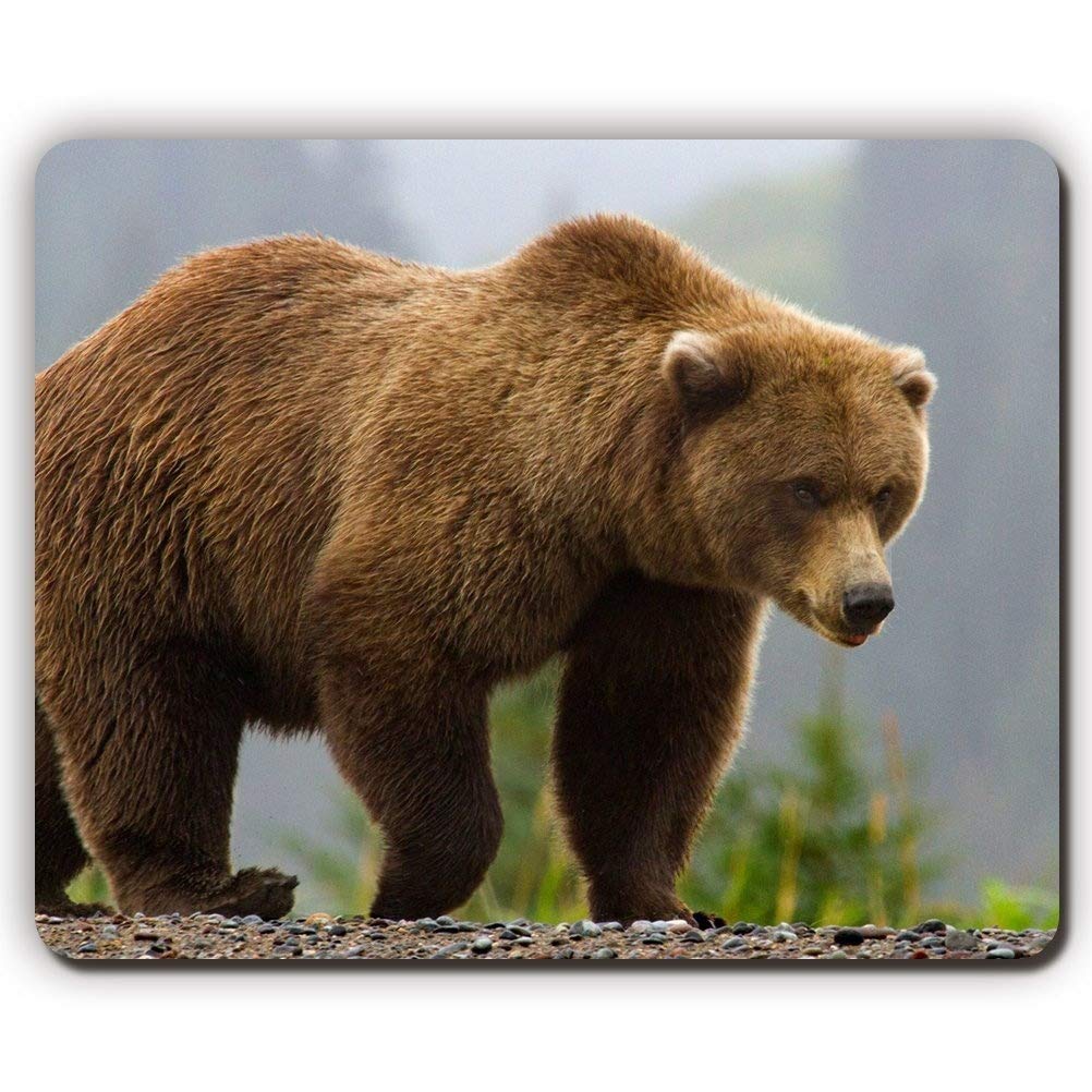 Flying Pig Men Gaming Mouse pad mousemat Mouse pad,Brown Bear,Game Office Mouse Pads P