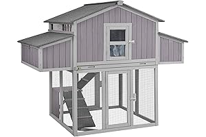 Spacious Henhouse Haven: Nurture Your Poultry with Ease