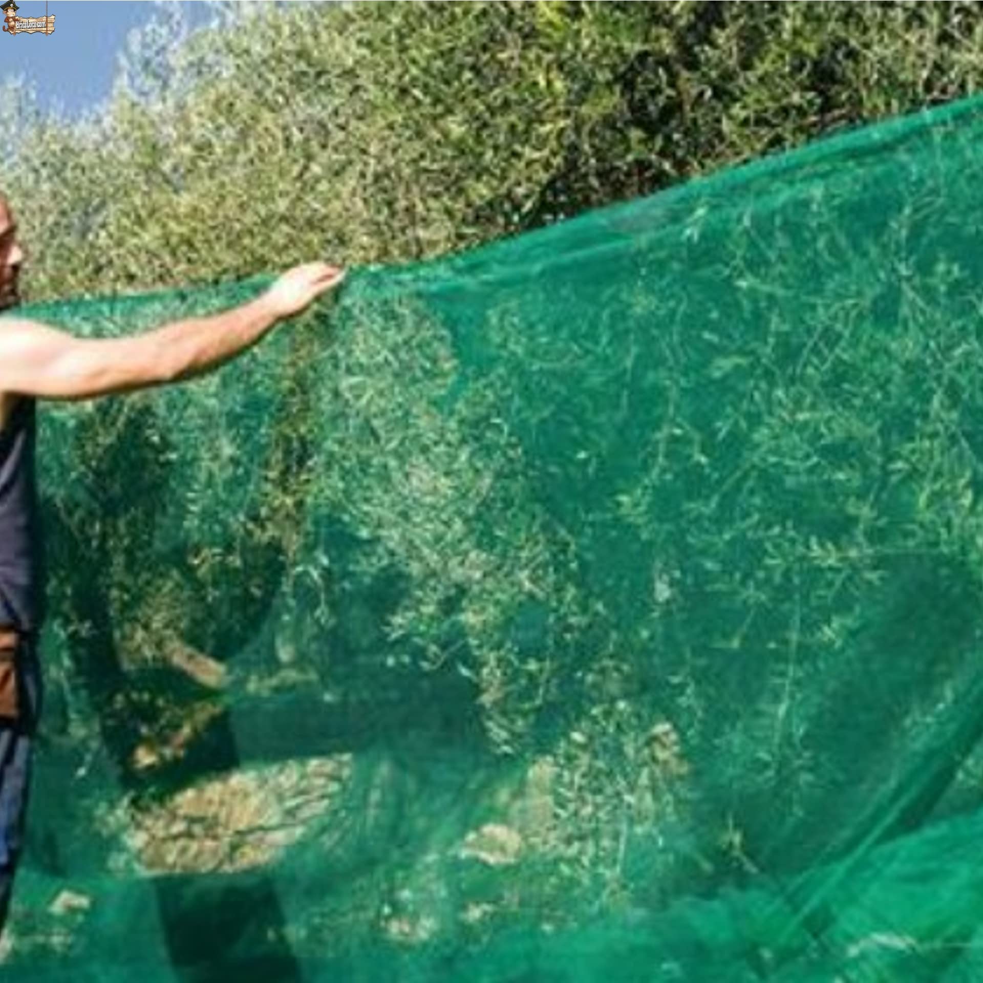 BricoLoco.com Malla Protectora Multiusos. Protección balcón, antipájaros, antipalomas, antinsectos, jardín, frutales, semilleros, Manto recogido, Malla Invernadero. (10x10 Metros)