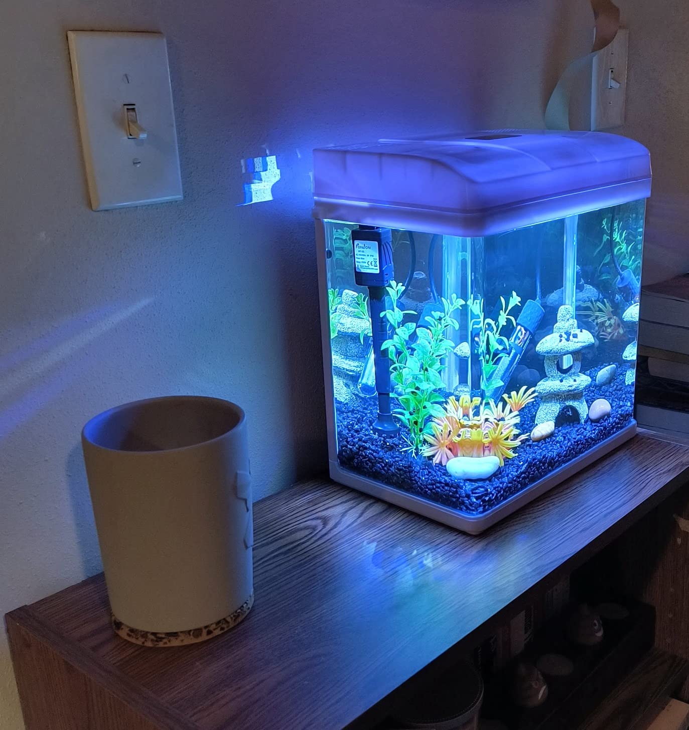 9/mo Finance PONDON Fish Tank, 3 Gallon Glass Aquarium with Air Pump