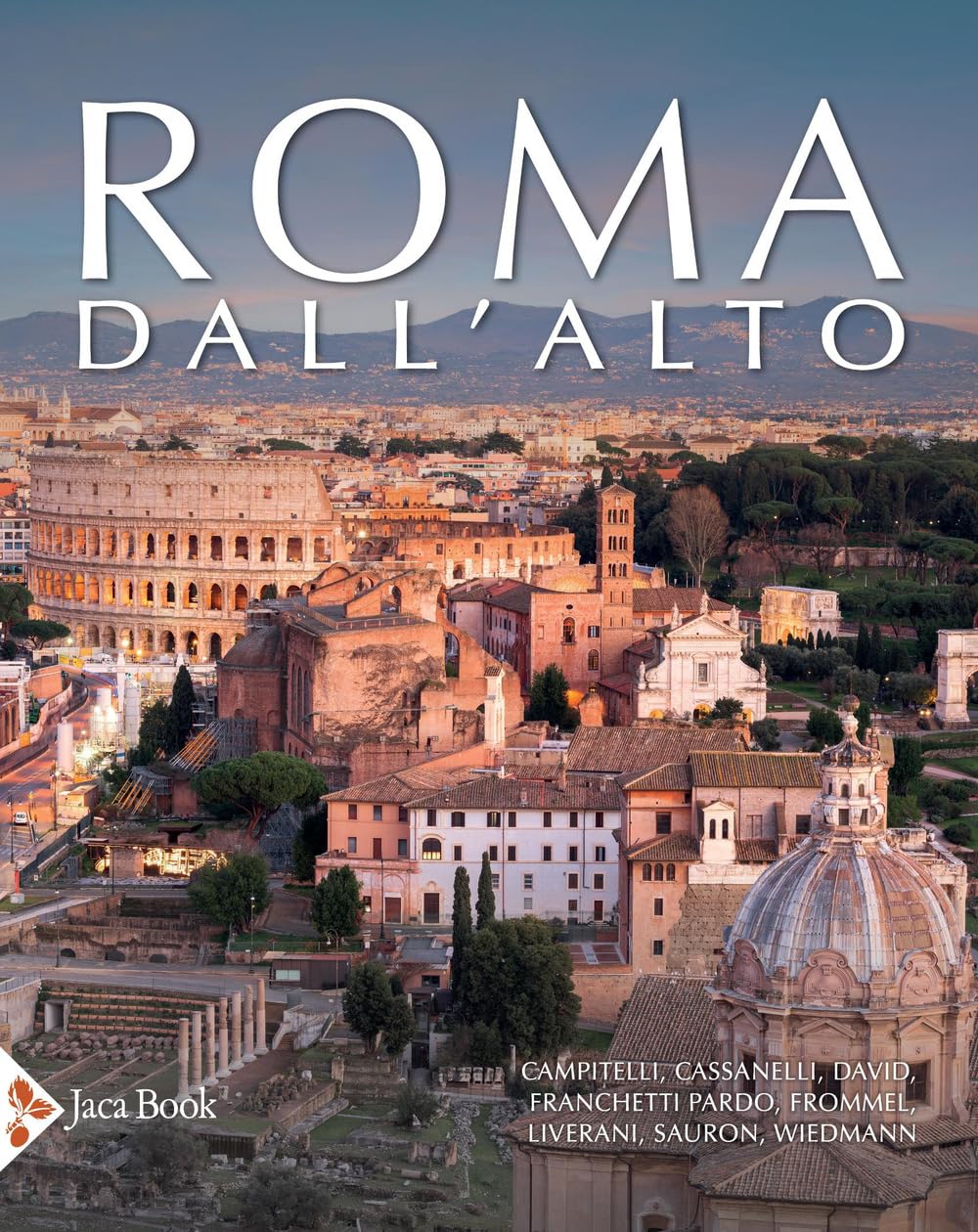 Roma dall'alto. Forme della città nella storia