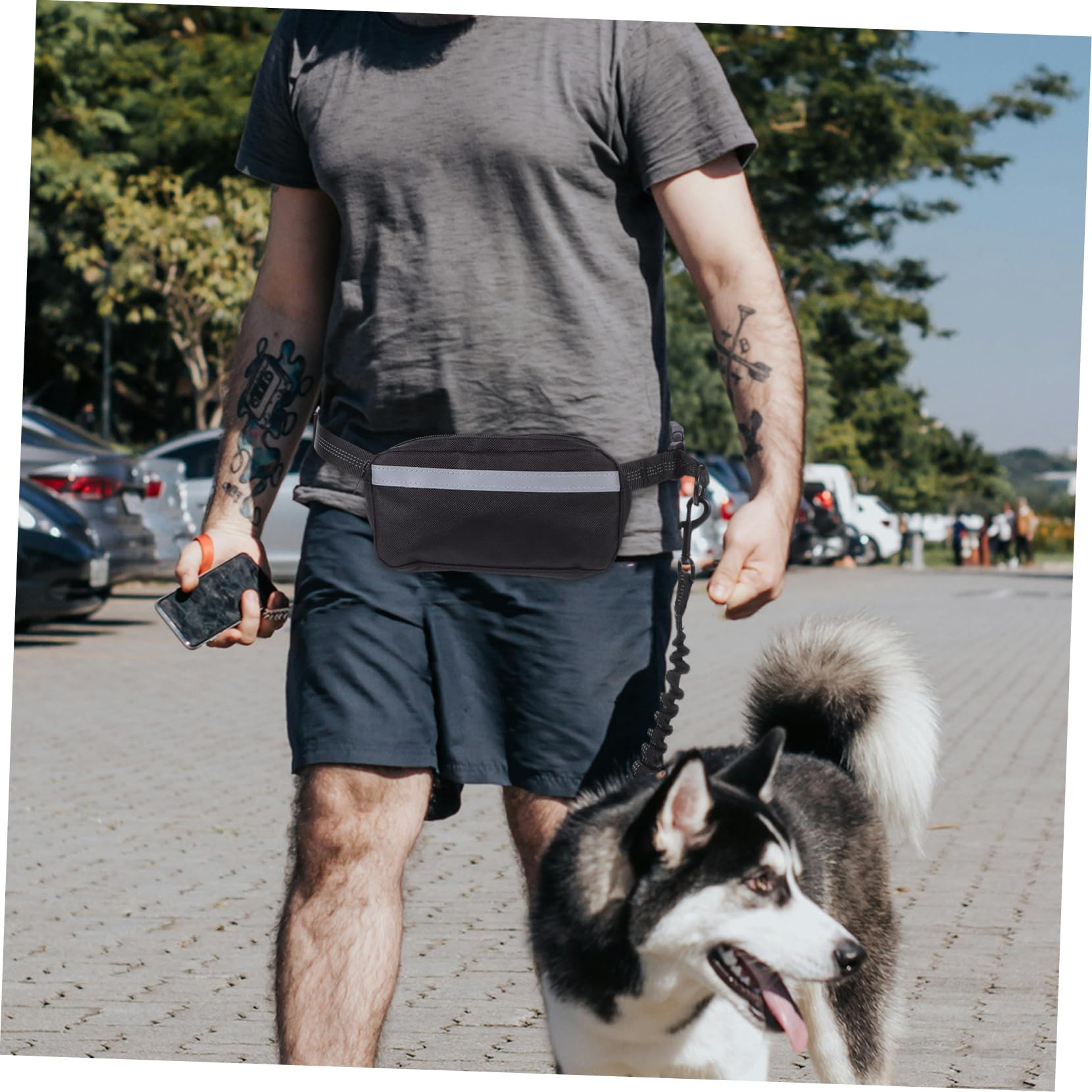 Hundejogging Hüftgurt mit Bungee Leine, 1 Satz aus Polyester, Schwarz | Stoßdämpfende Ausführung, mit Hüfttasche, für Outdoor Aktivitäten und Parkstrolls
