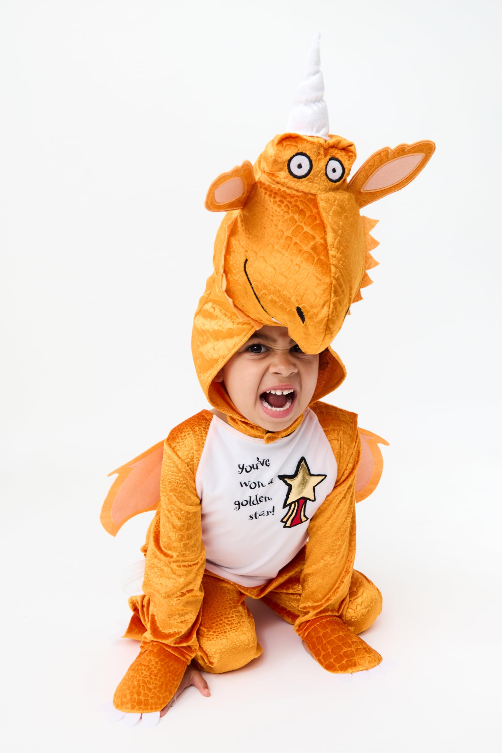 Costume intero unisex per bambini Zog The Gruffalo Friends Julia Donaldson con licenza ufficiale | Giornata mondiale del libro, travestimento e travestimento | Età 3-8 |