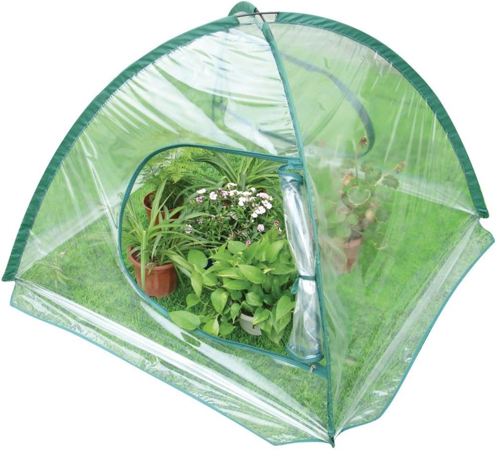 P3 Q1094 Folding Greenhouse