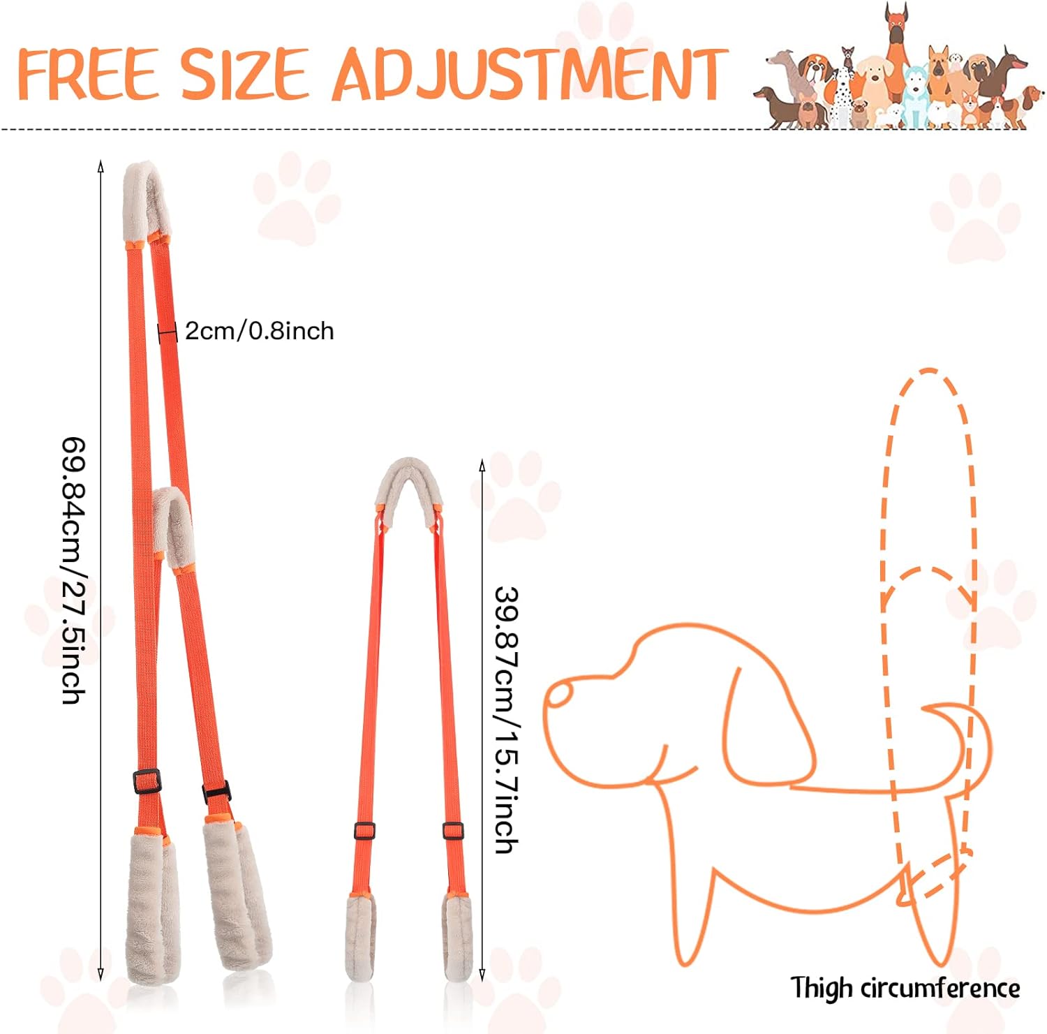Boost Your Pup